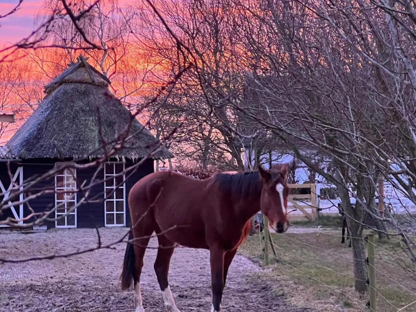Troldegaarden Guesthouse