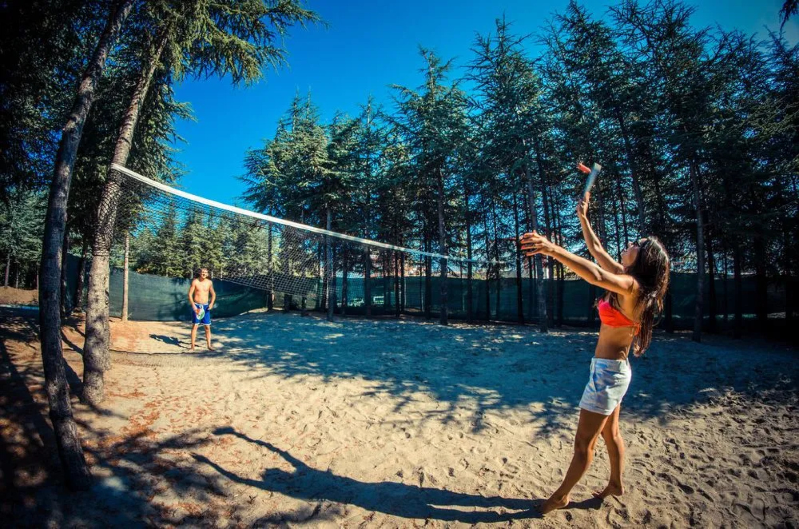 Crown and Imperial Clubs