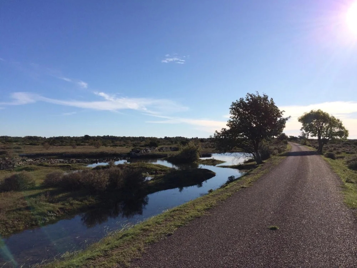 Allégården Kastlösa Hotell