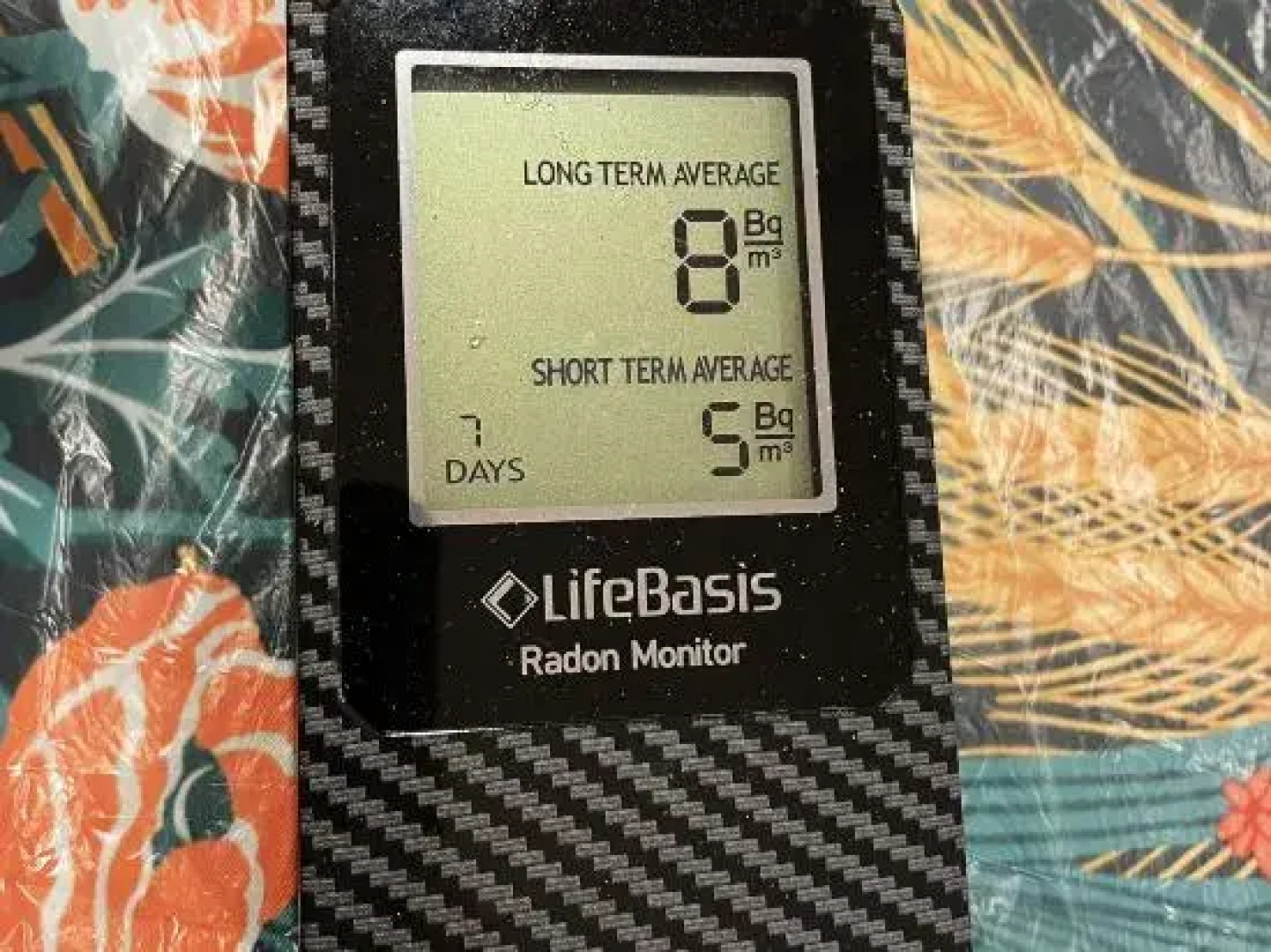 Private House Basement Suite Toronto/Richmond Hill