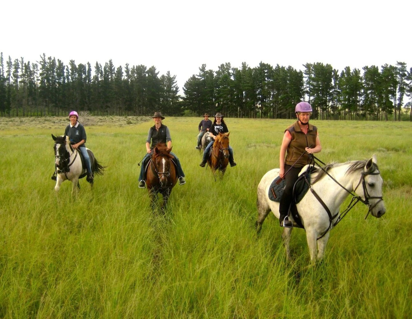 Doornbosch Guesthouse & Country Cottages