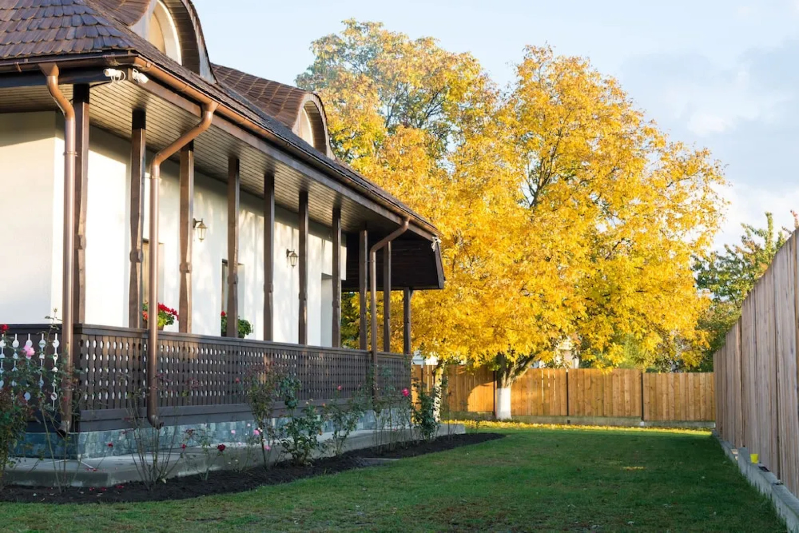 Pensiunea Tara Fagilor