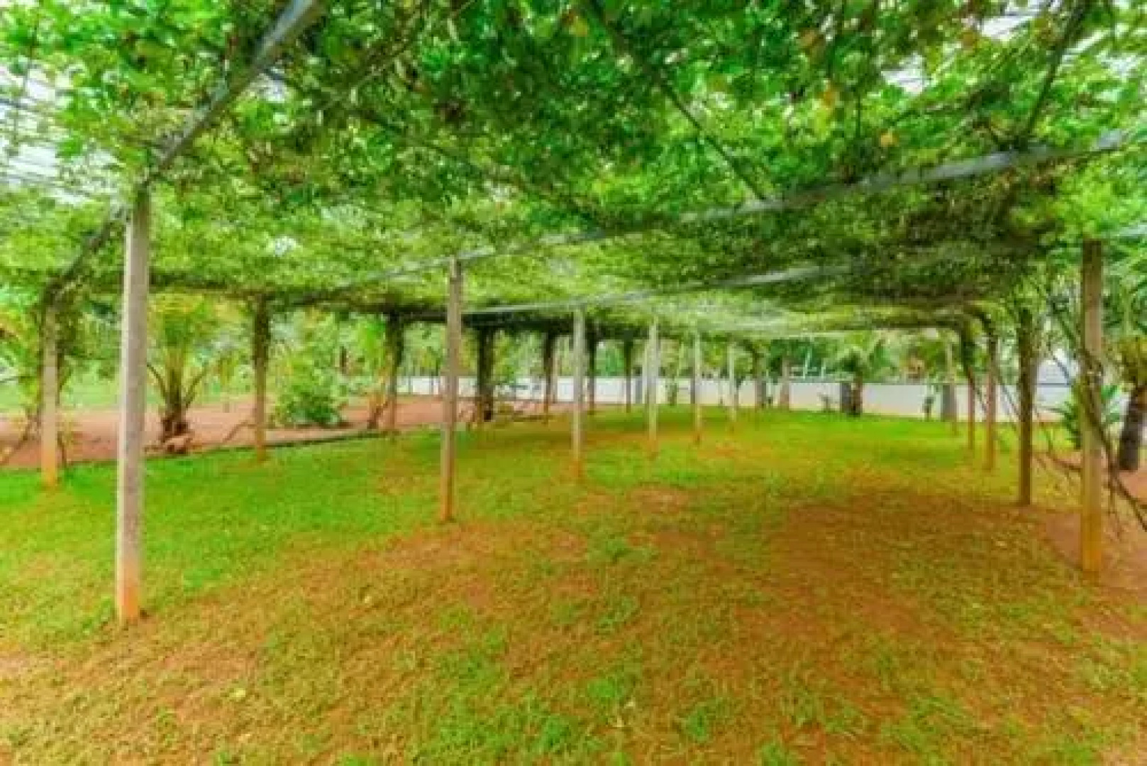 Manjaly Backwater Resort