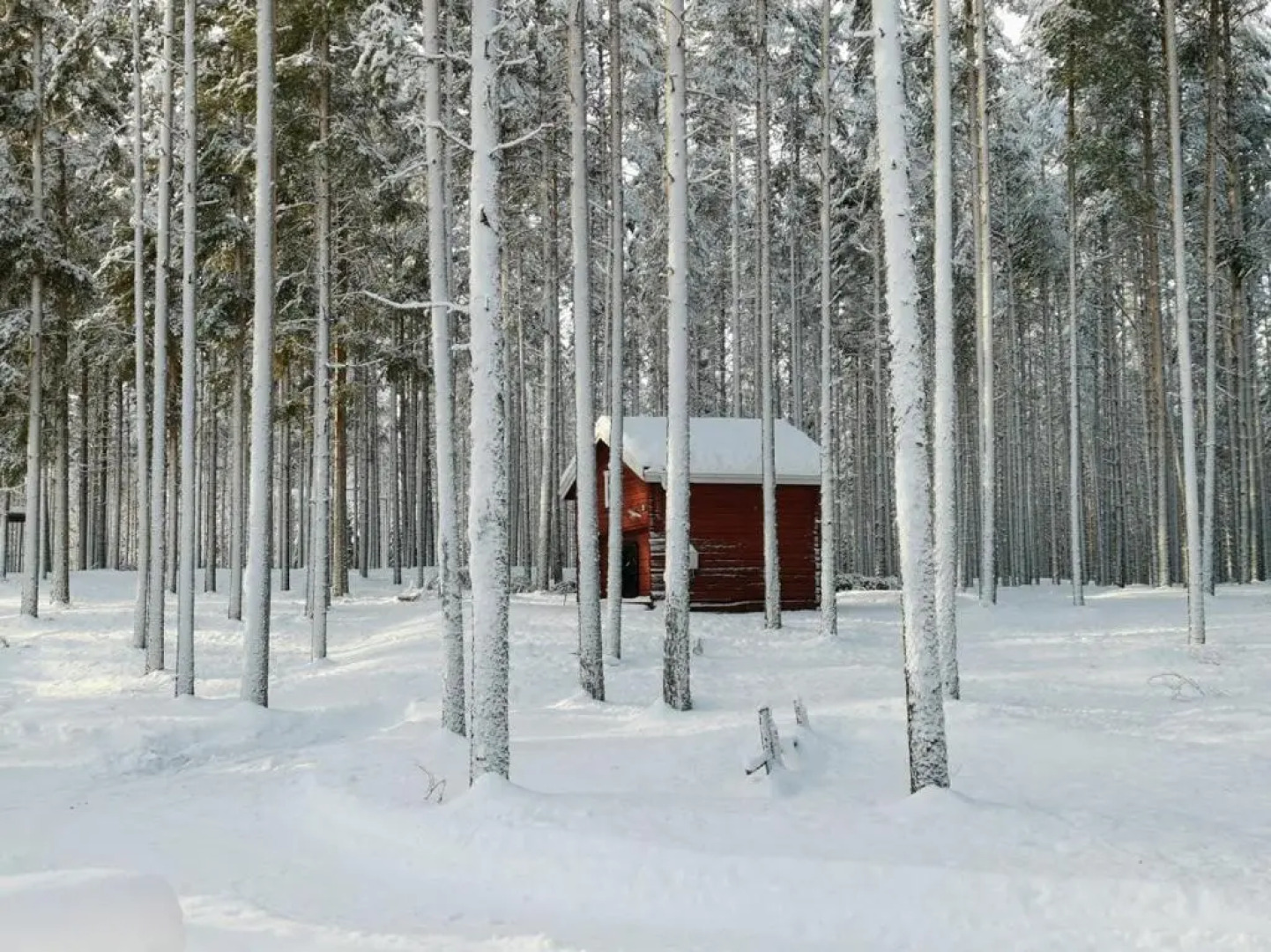 Zorbcenter Holiday Homes