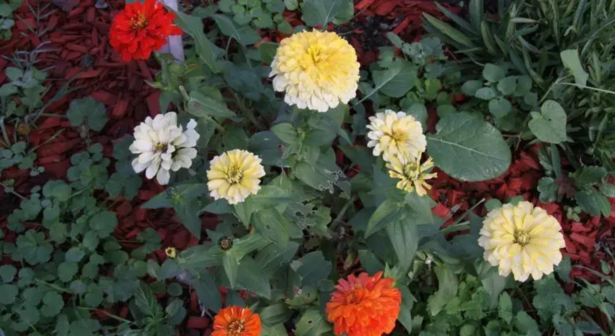 Royal Nesu Retreat House