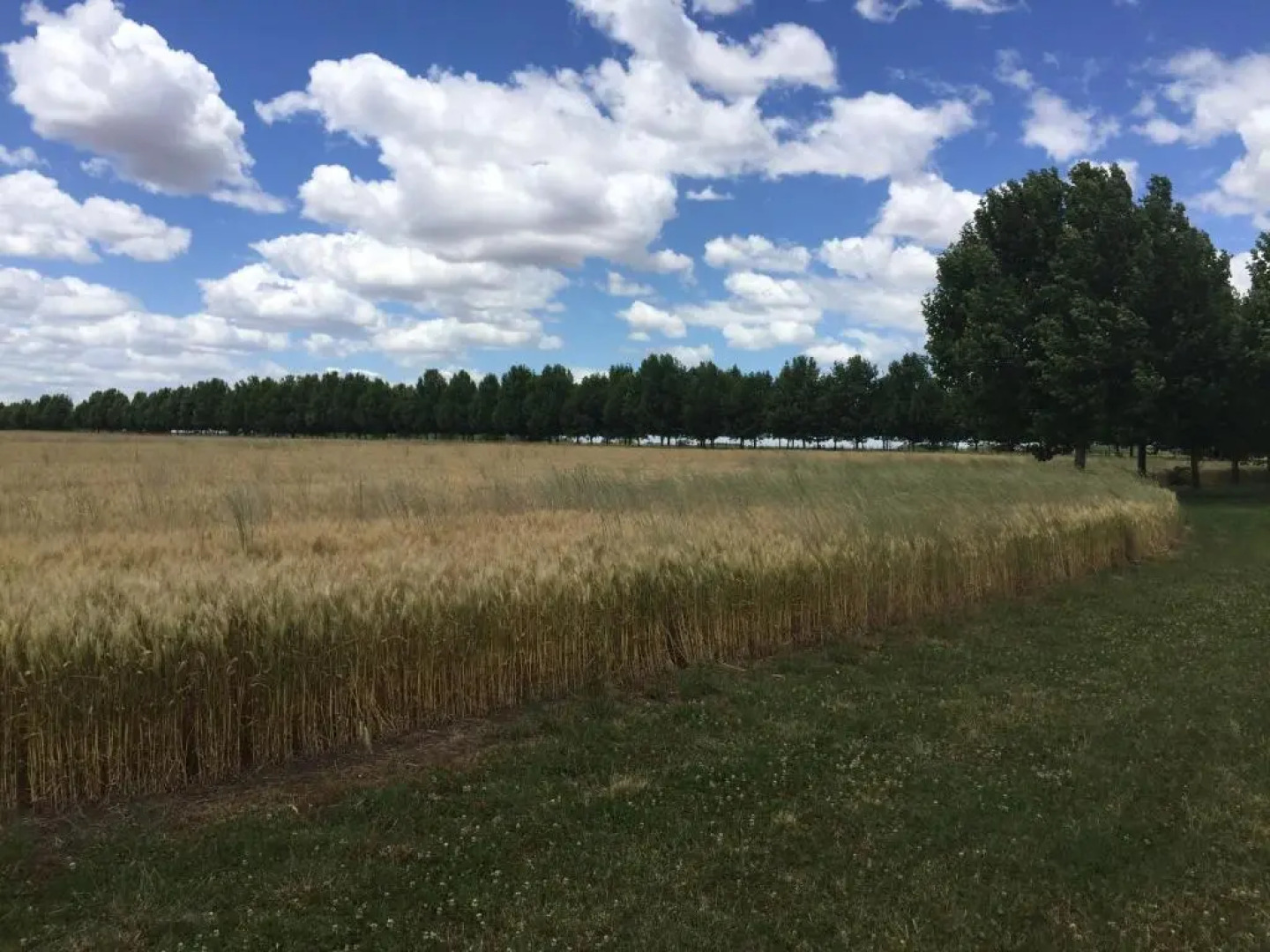 La Negrita Casa Hotel