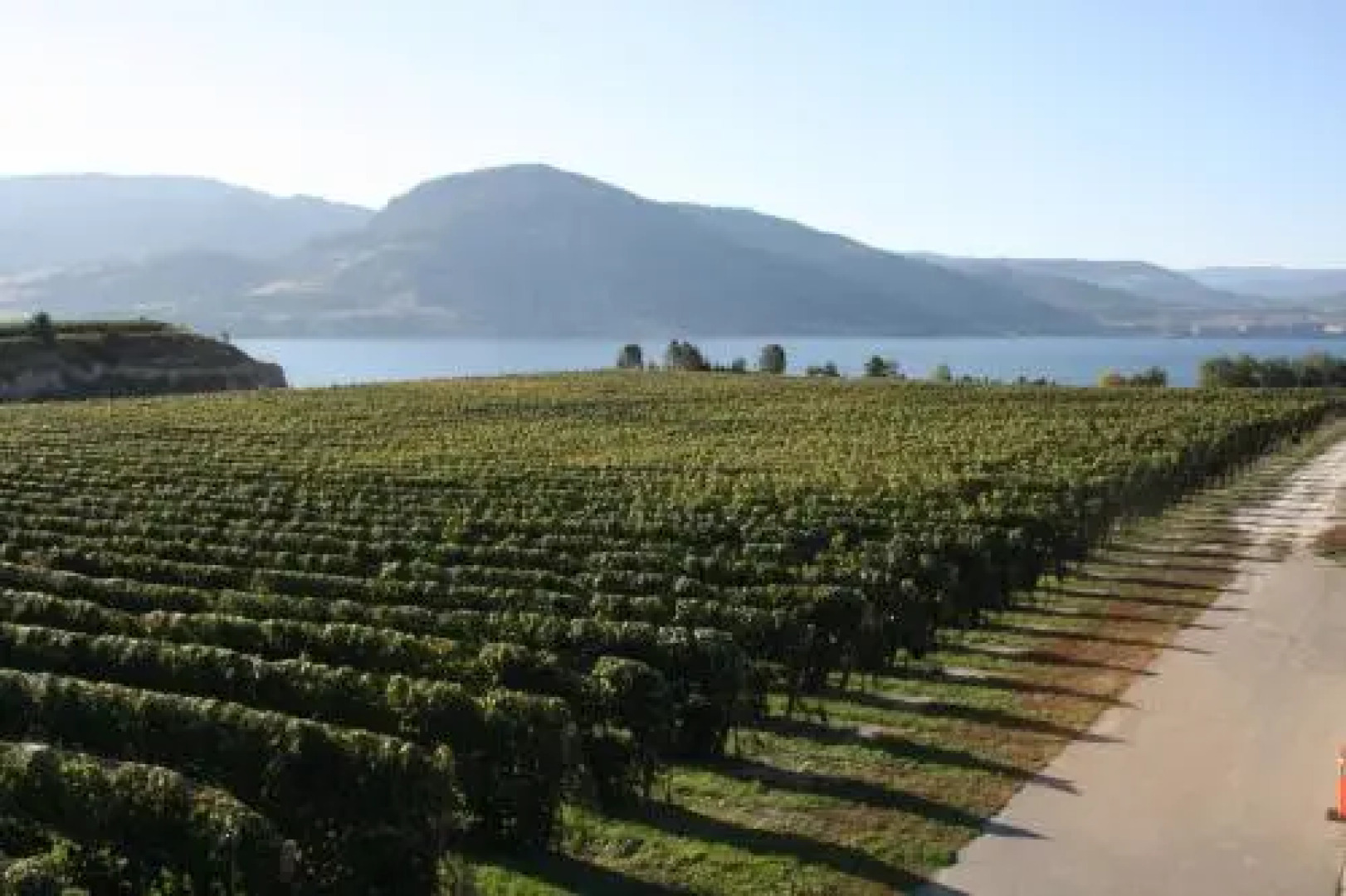 D'Angelo Winery Guest House