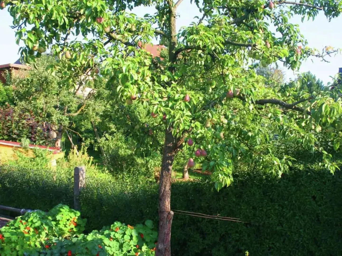 Cozy Cottage in Winterstein Thuringia near Ski Area
