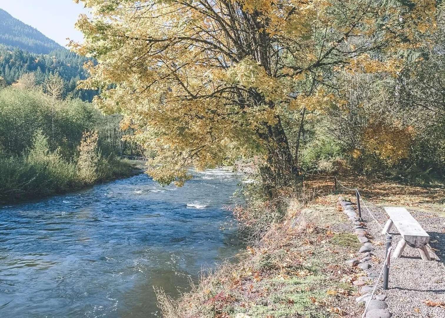 Salmon River Condo #5