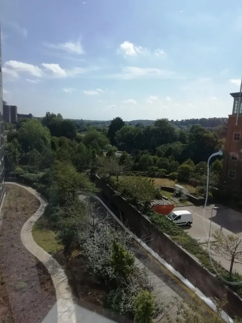 Luxury One Bedroom Apartment