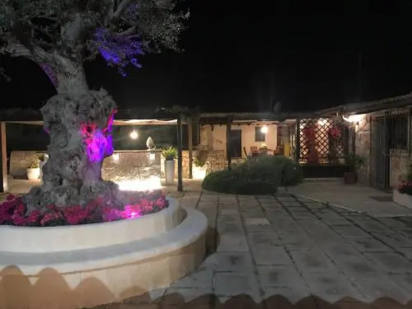 Mythos Holidays  Events