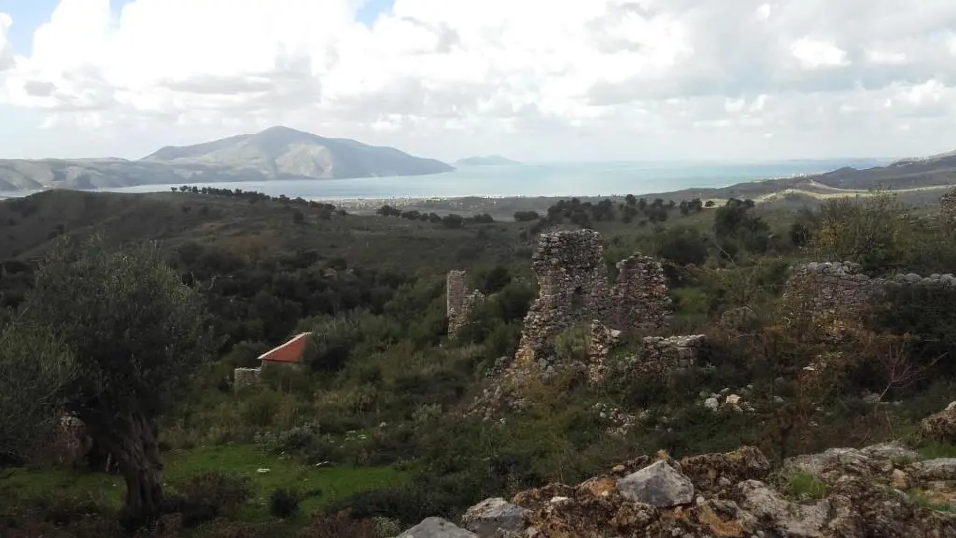 Maxola's Dream Orikum