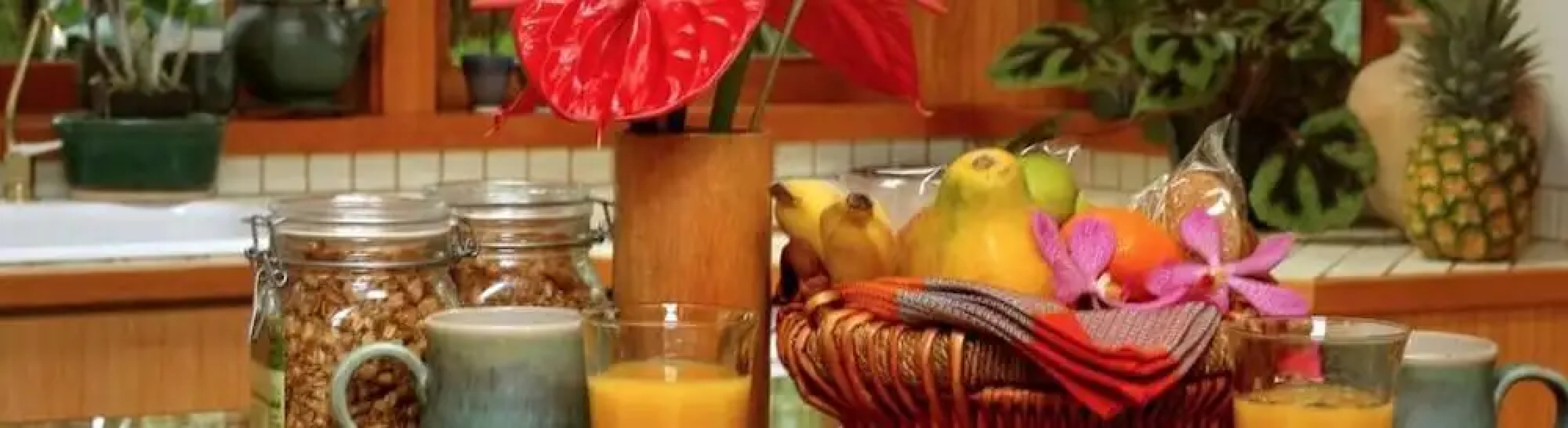 Volcano Rainforest Retreat