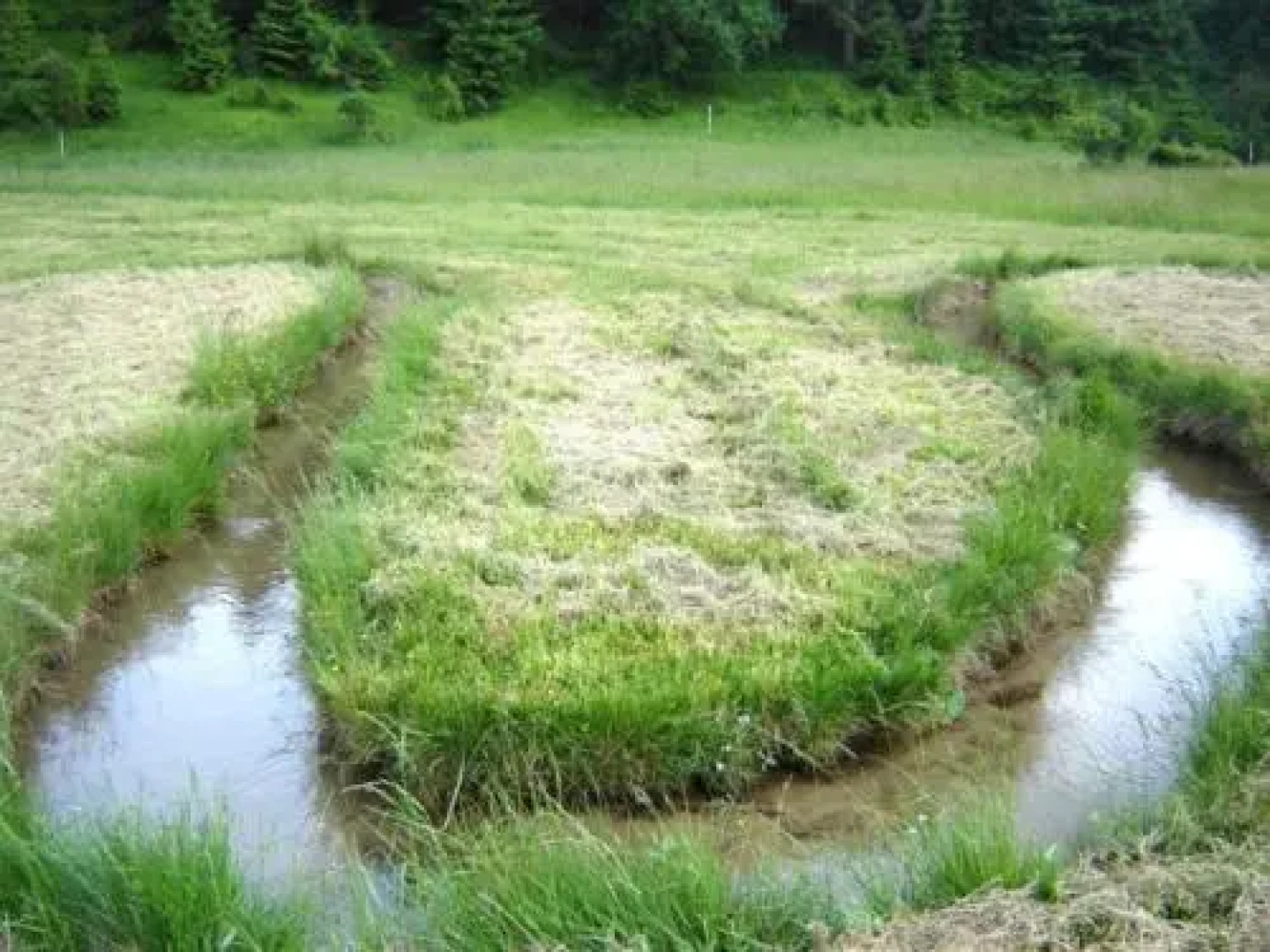 Drevenica Baltazár