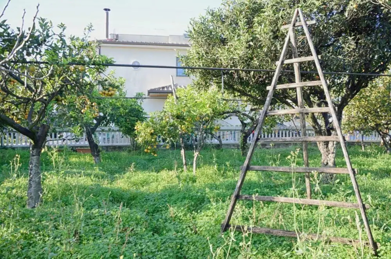 Marmedi Costa Sud Salerno
