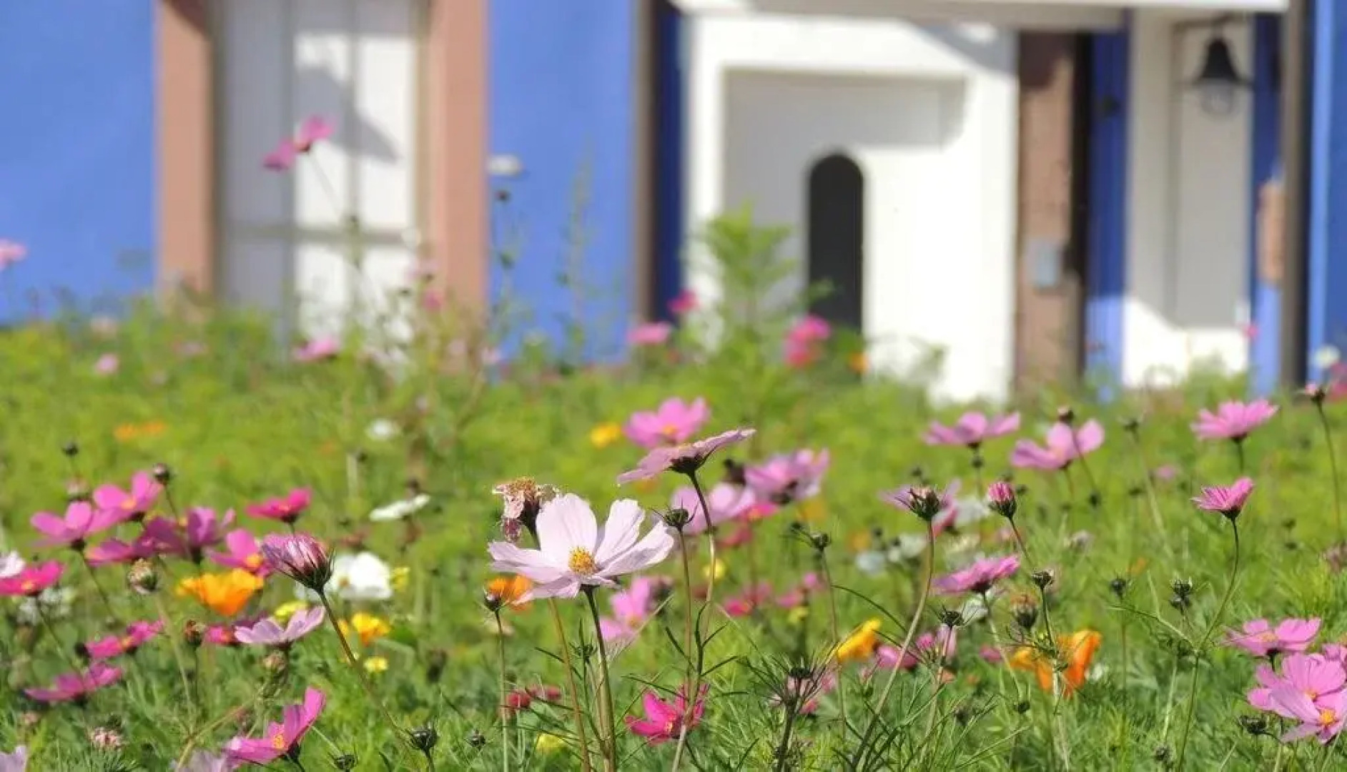 Sophia Spessarthäuser