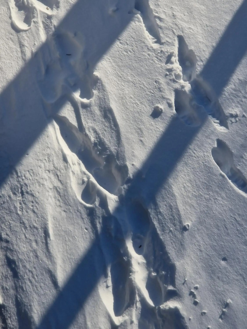 Ferienwohnung "Auszeit"