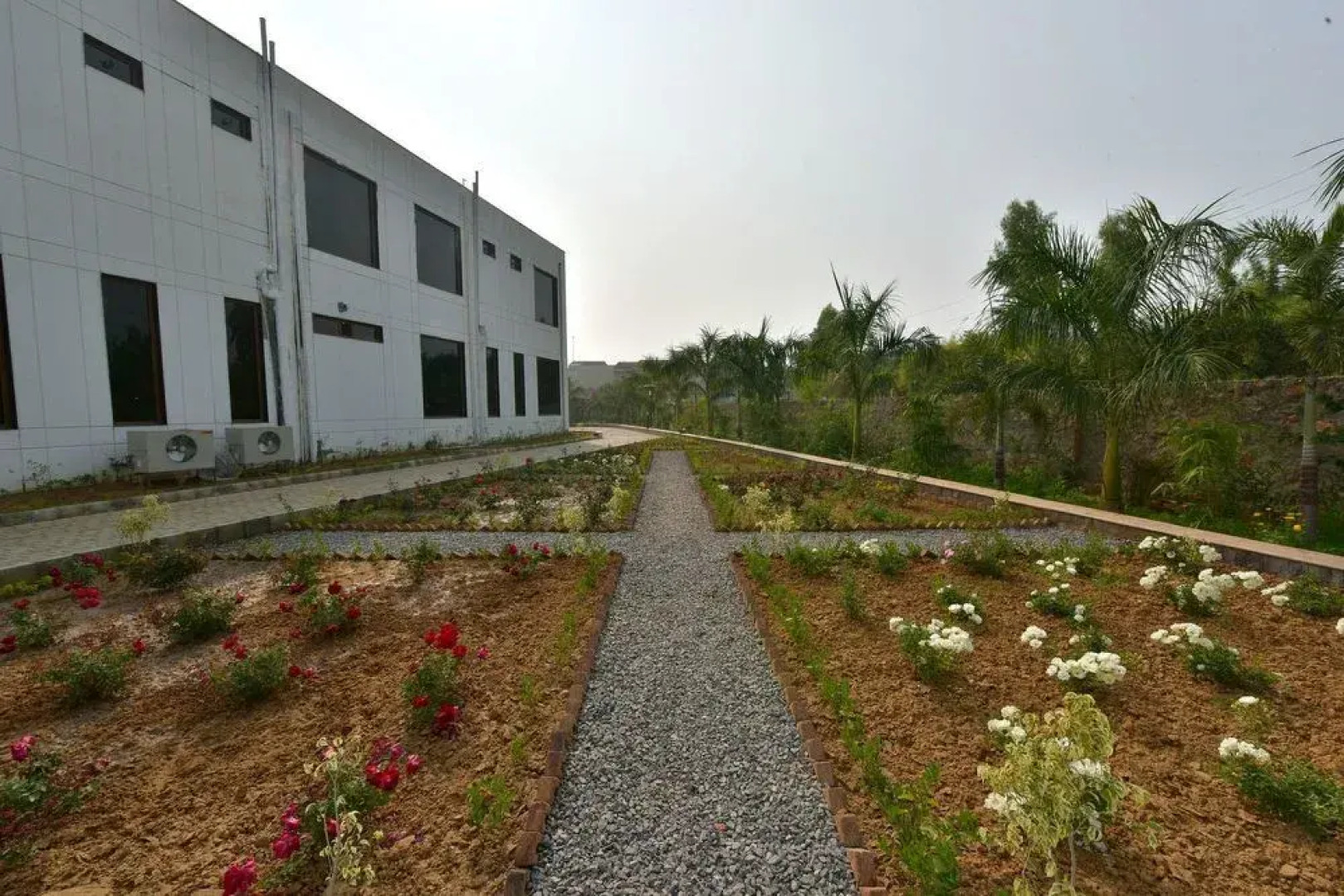 Clarks Safari Ranthambore