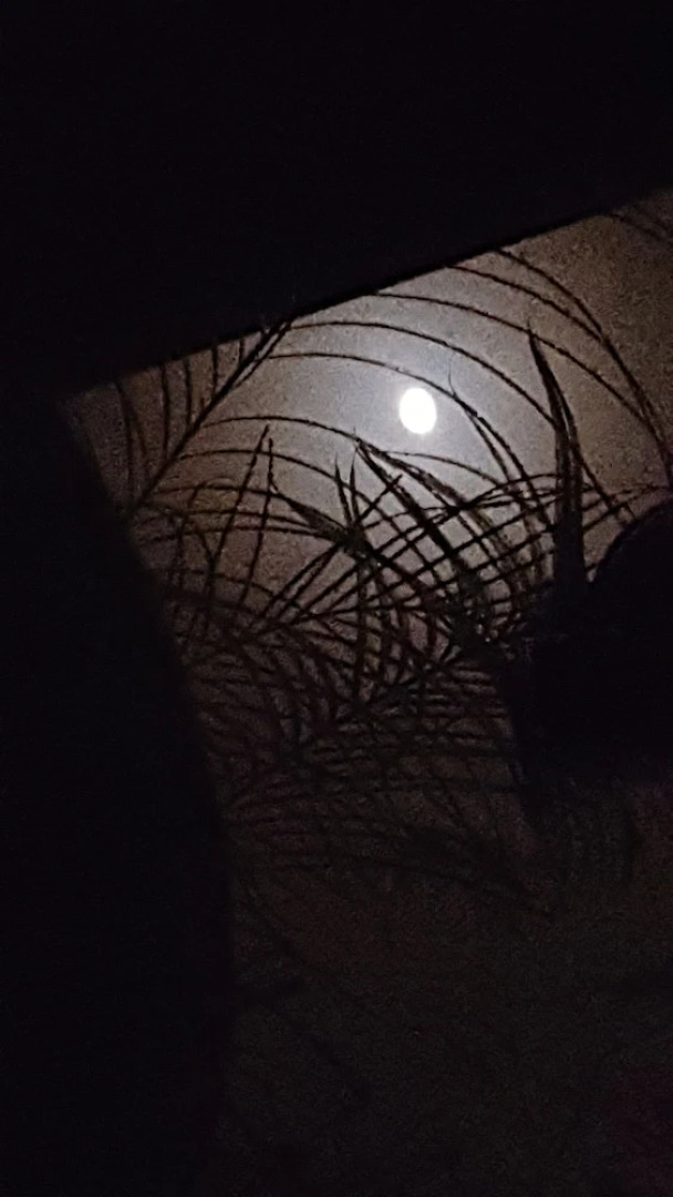 Hubers INN Port Townsend