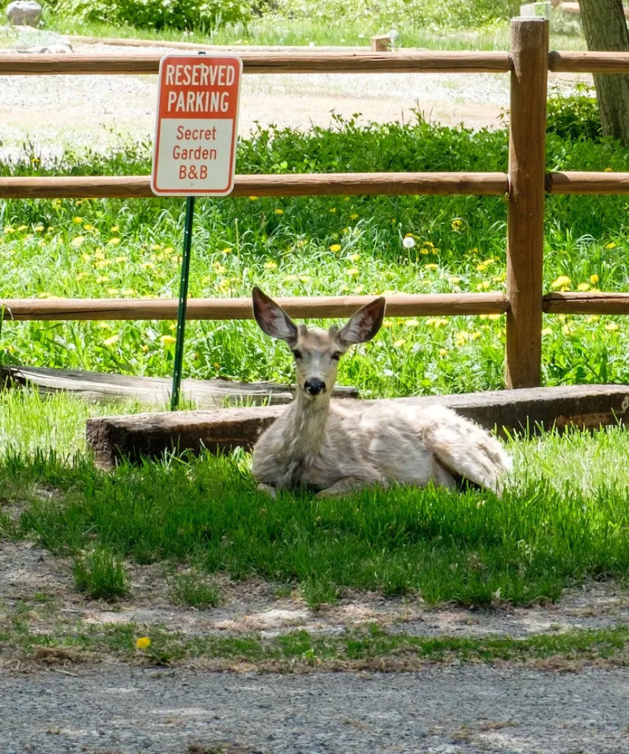 Secret Garden Bed & Breakfast