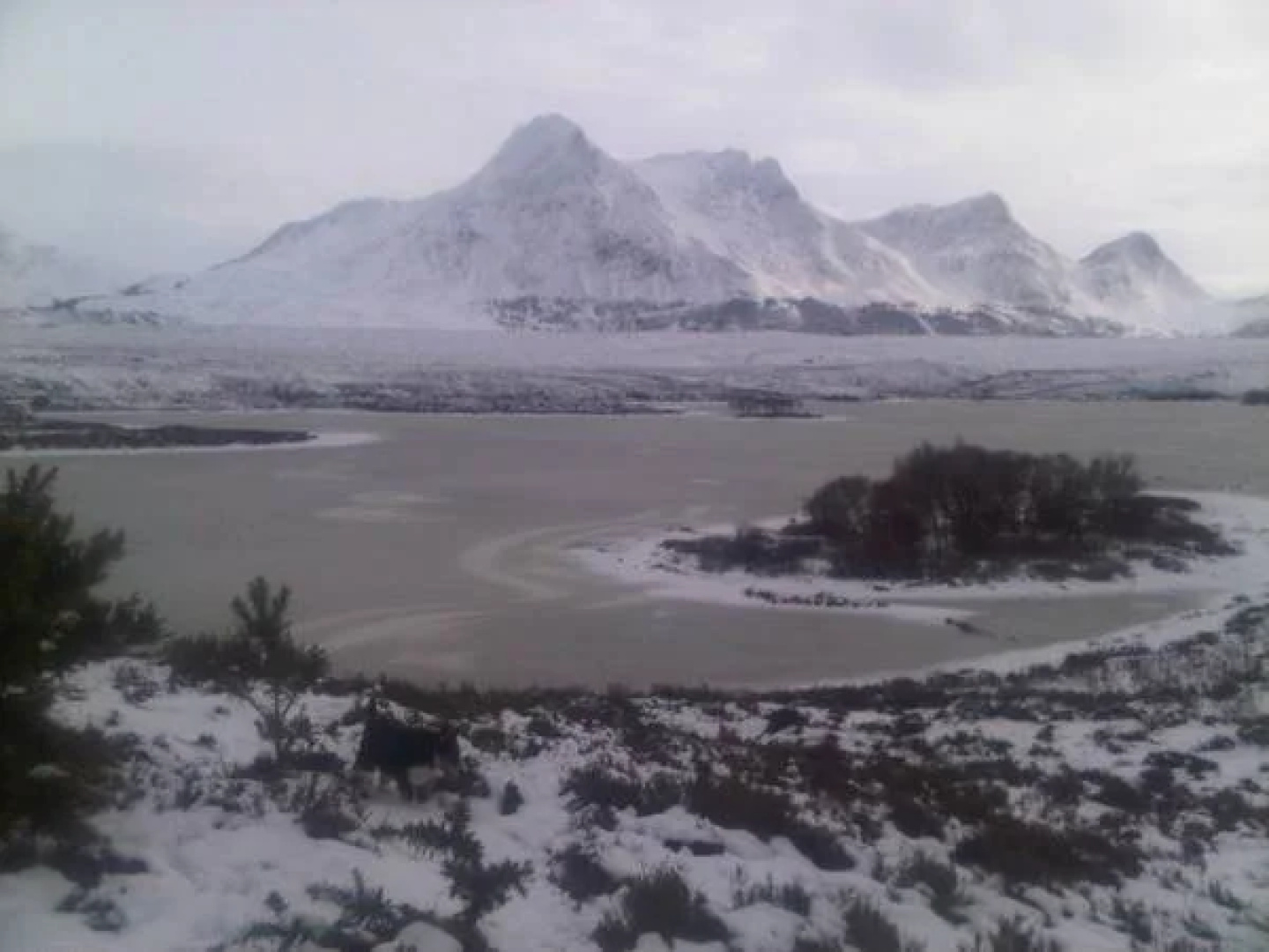 Ben Loyal Hotel