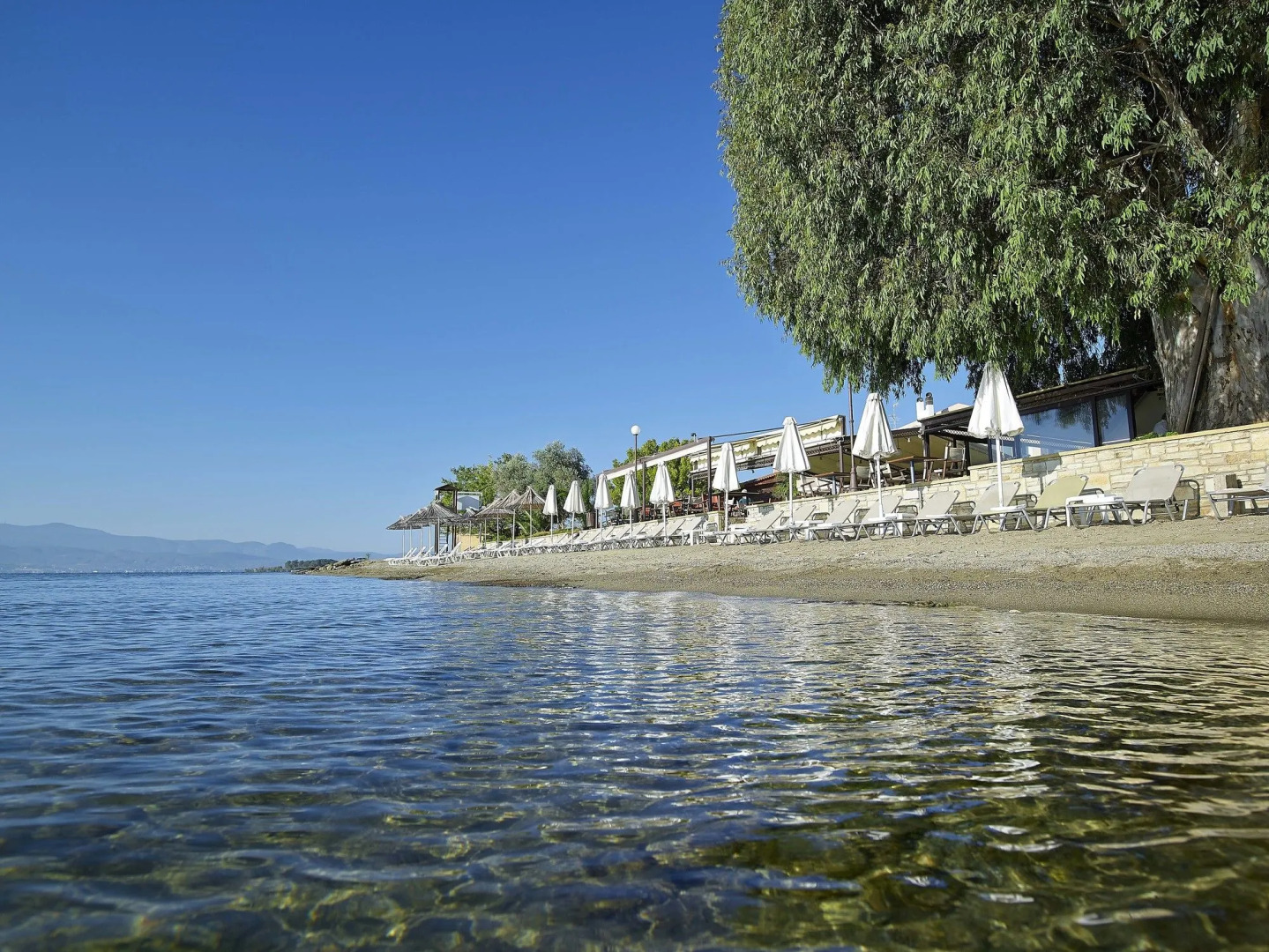 Avantis Suites Hotel