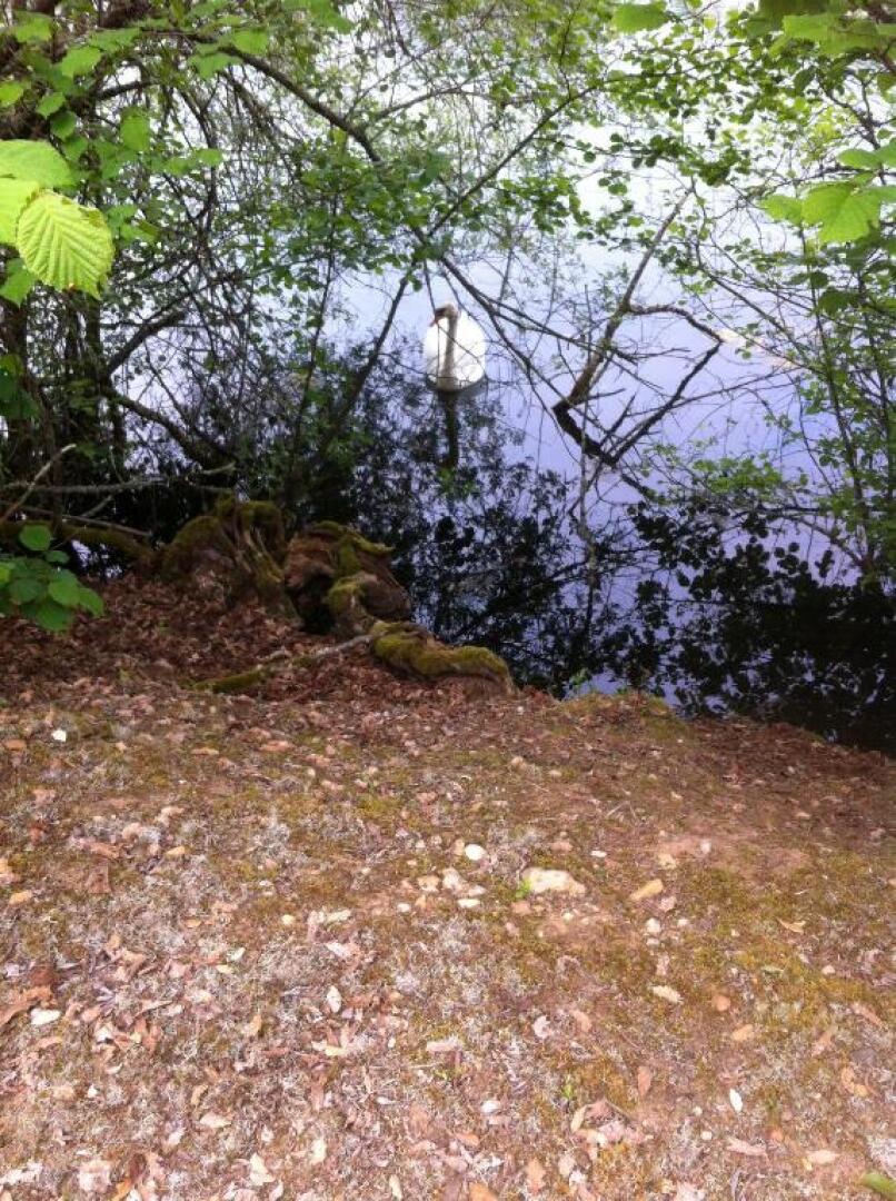 Chambre dHôtes Dyrslot