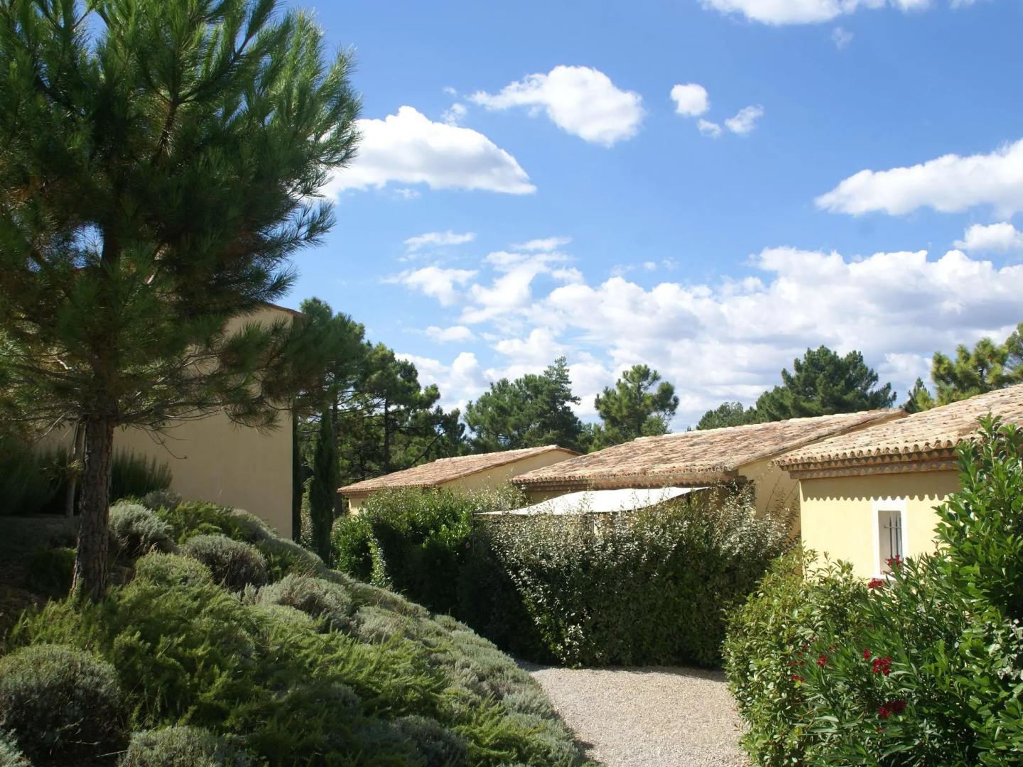 Luxury apartment for four people near golf course in the heart of Provence