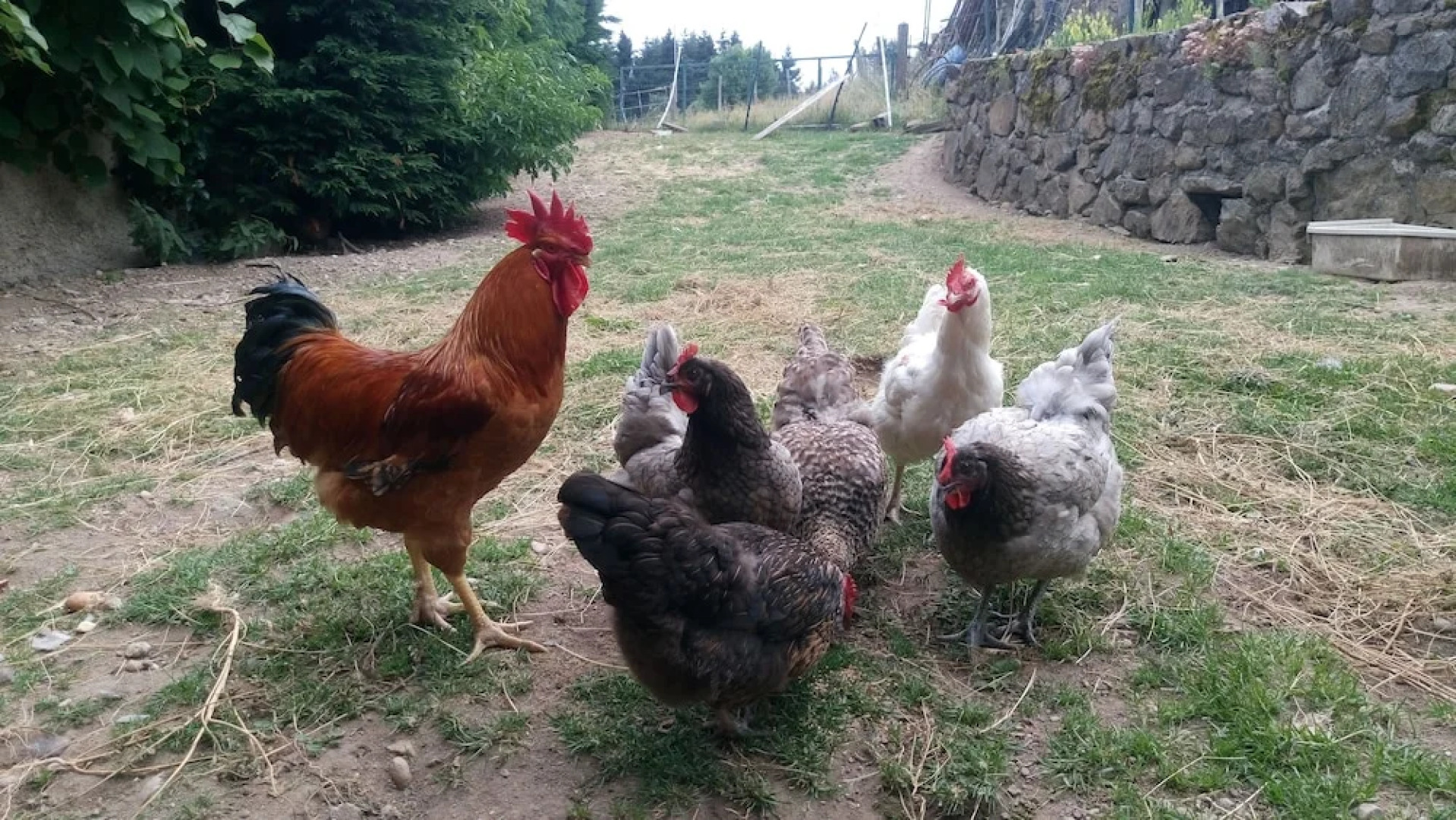 Le Repos de la Salette