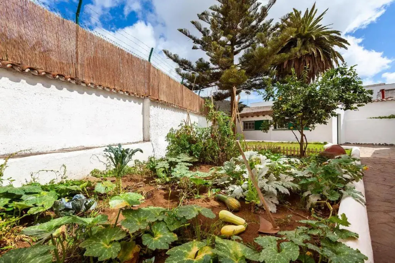 Patio Hostel - Adults Only