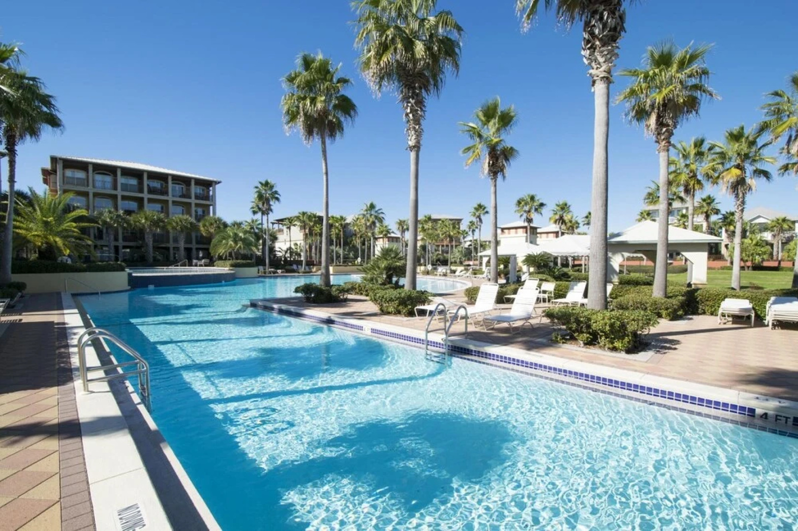 Palm Sundaze - 1606336