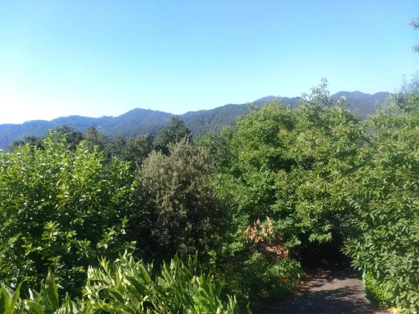 Les Jardins d'Arbousse