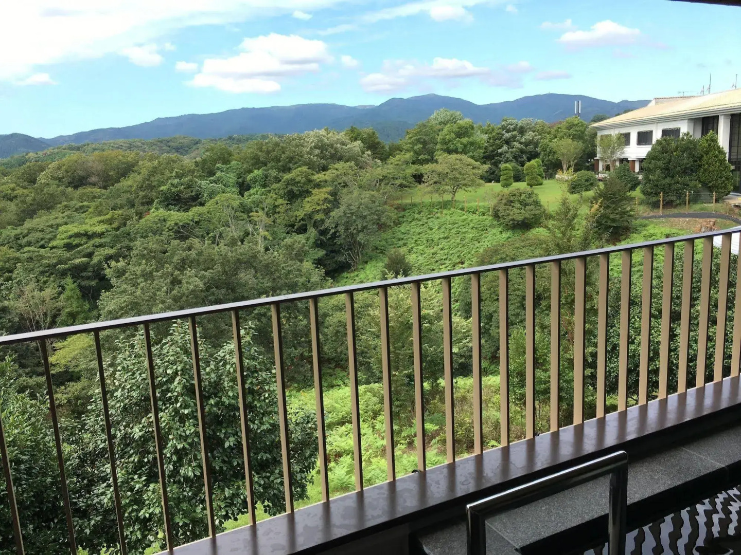 Izu Marriott Hotel Shuzenji