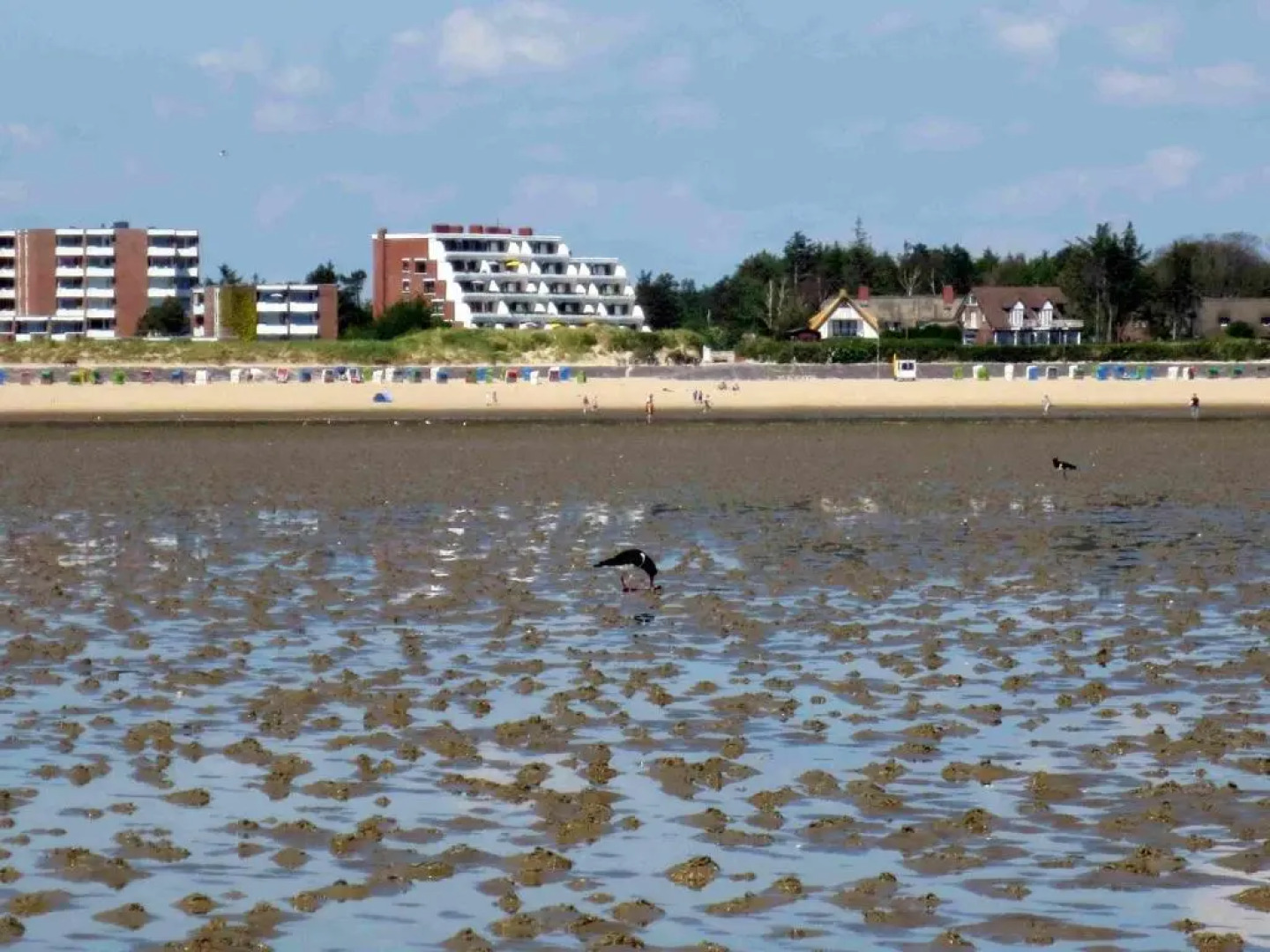 Haus Halligblick Wohnung 18