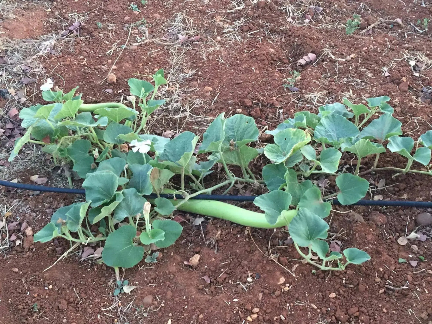 Relais Casina Miregia