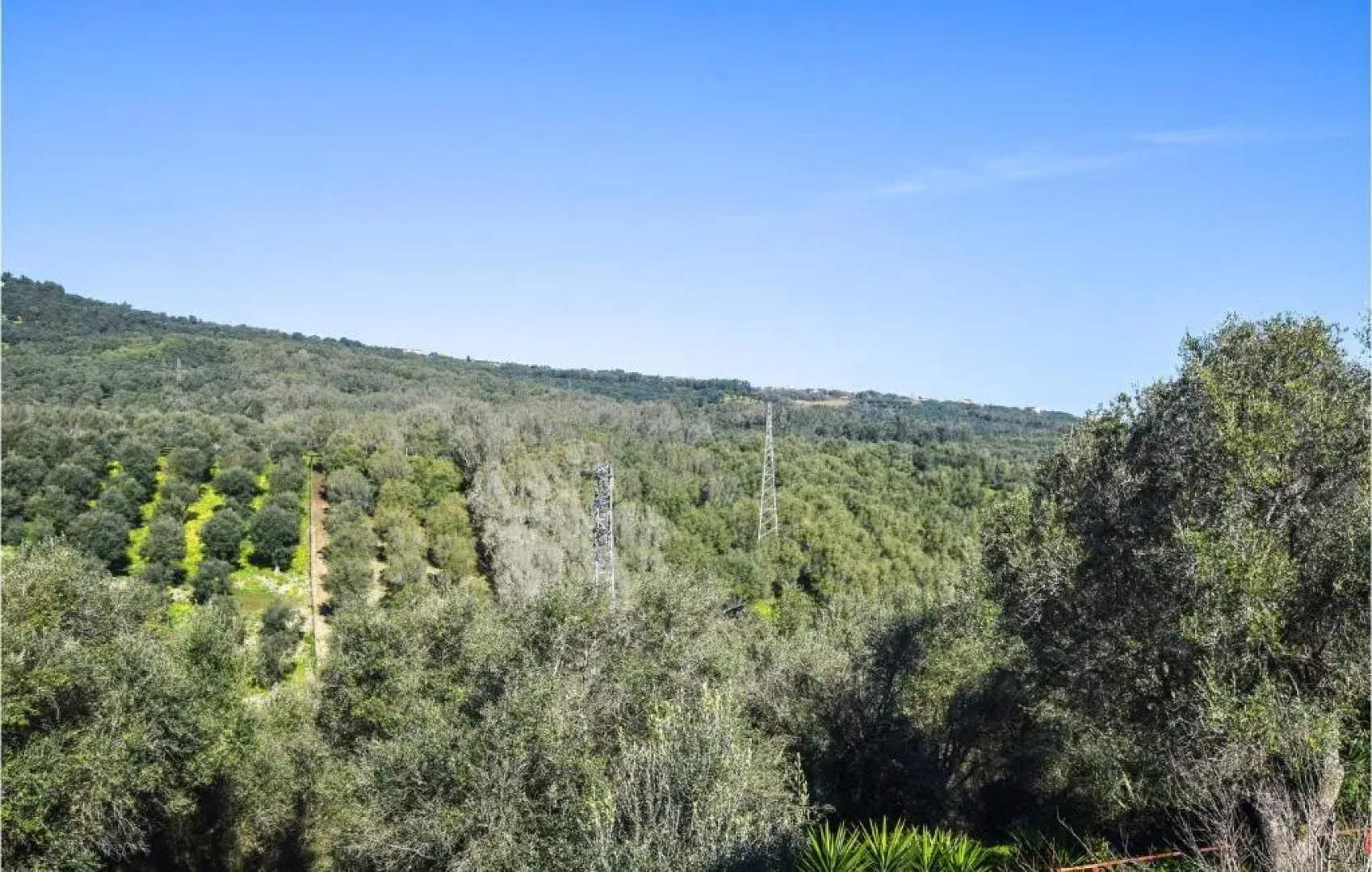 Amazing Home in Palmi With 2 Bedrooms and Wifi