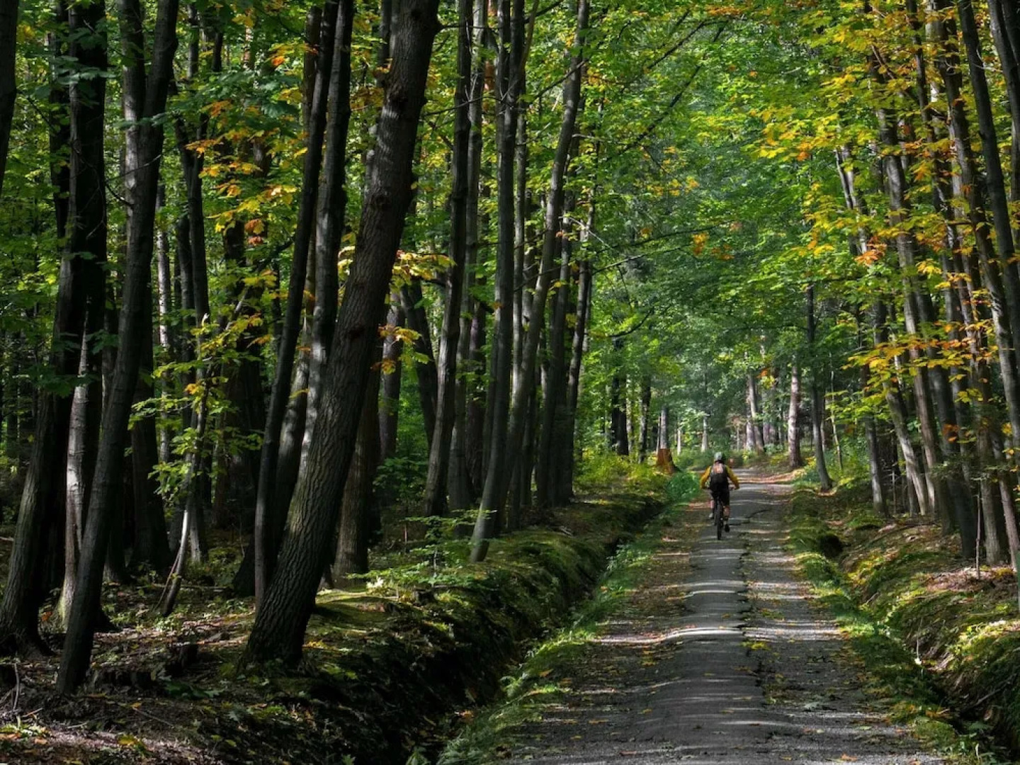 Ovifat Sauna Escape, Waimes