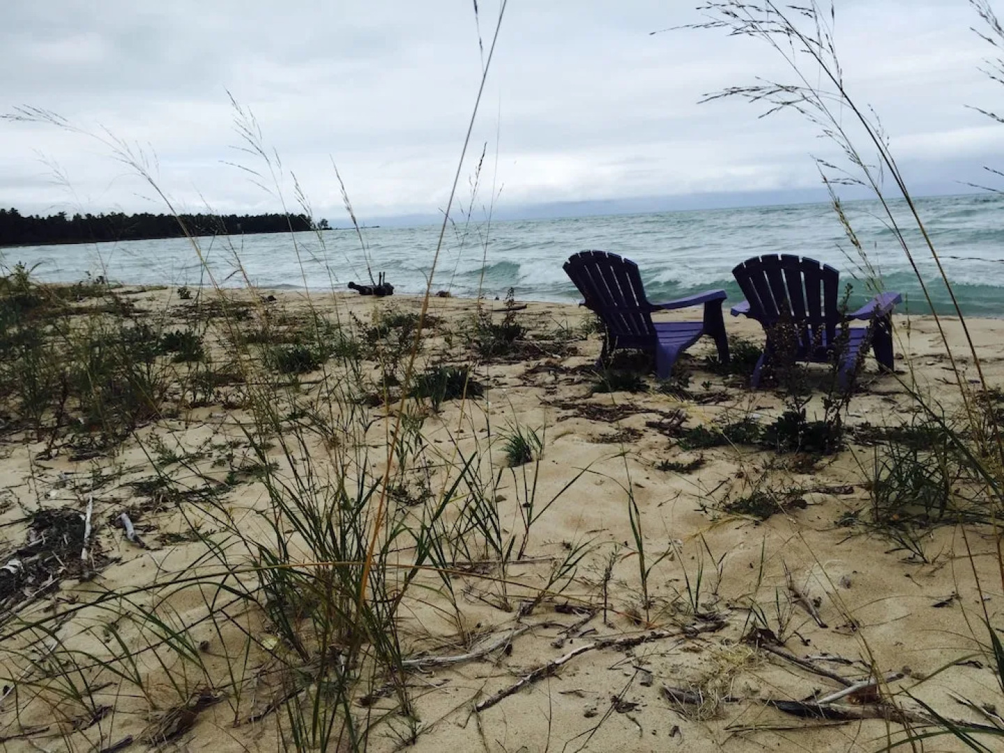 The Purple Martin Inn