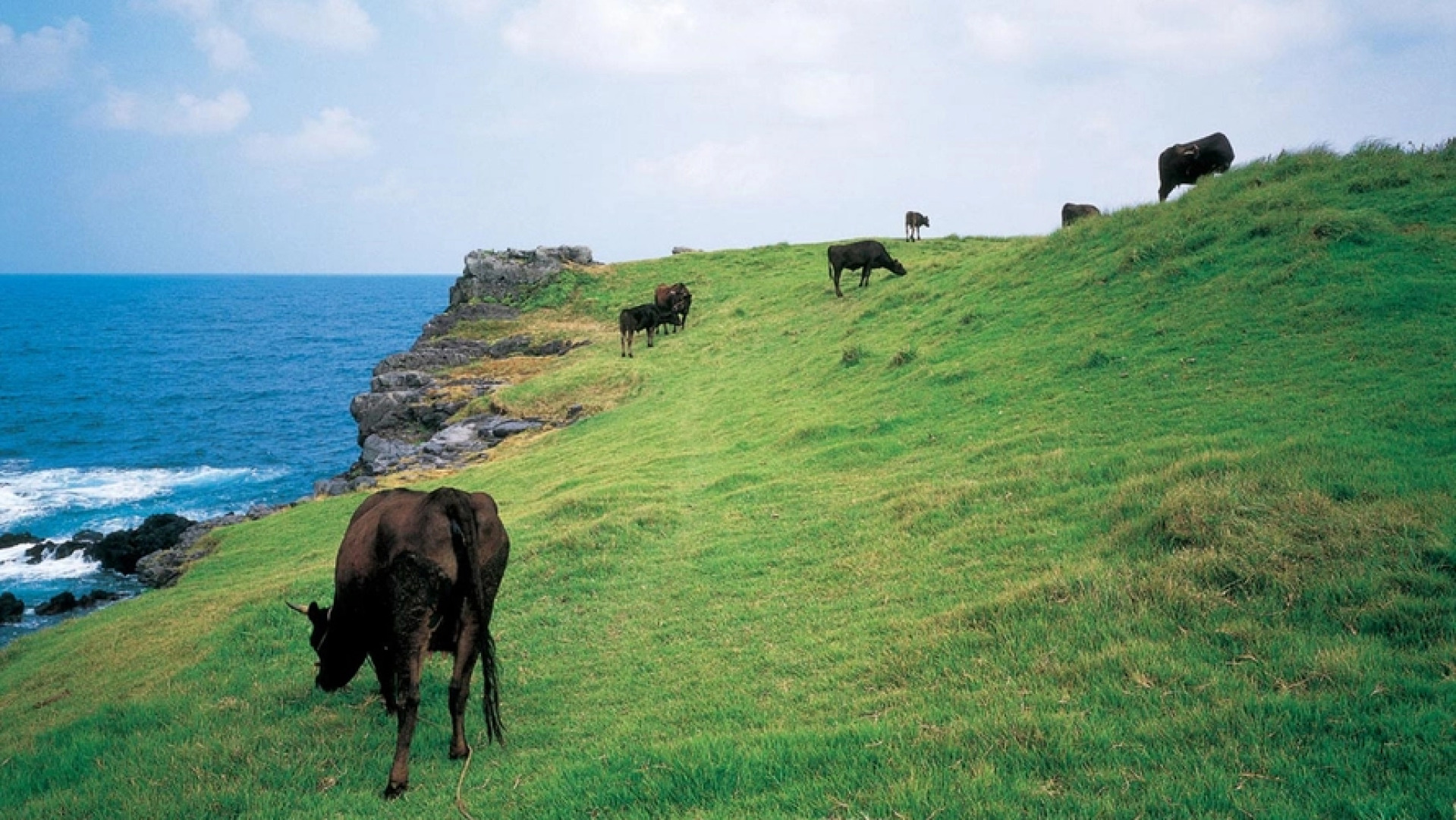 Minshuku Katsumaruso <Ikinoshima>