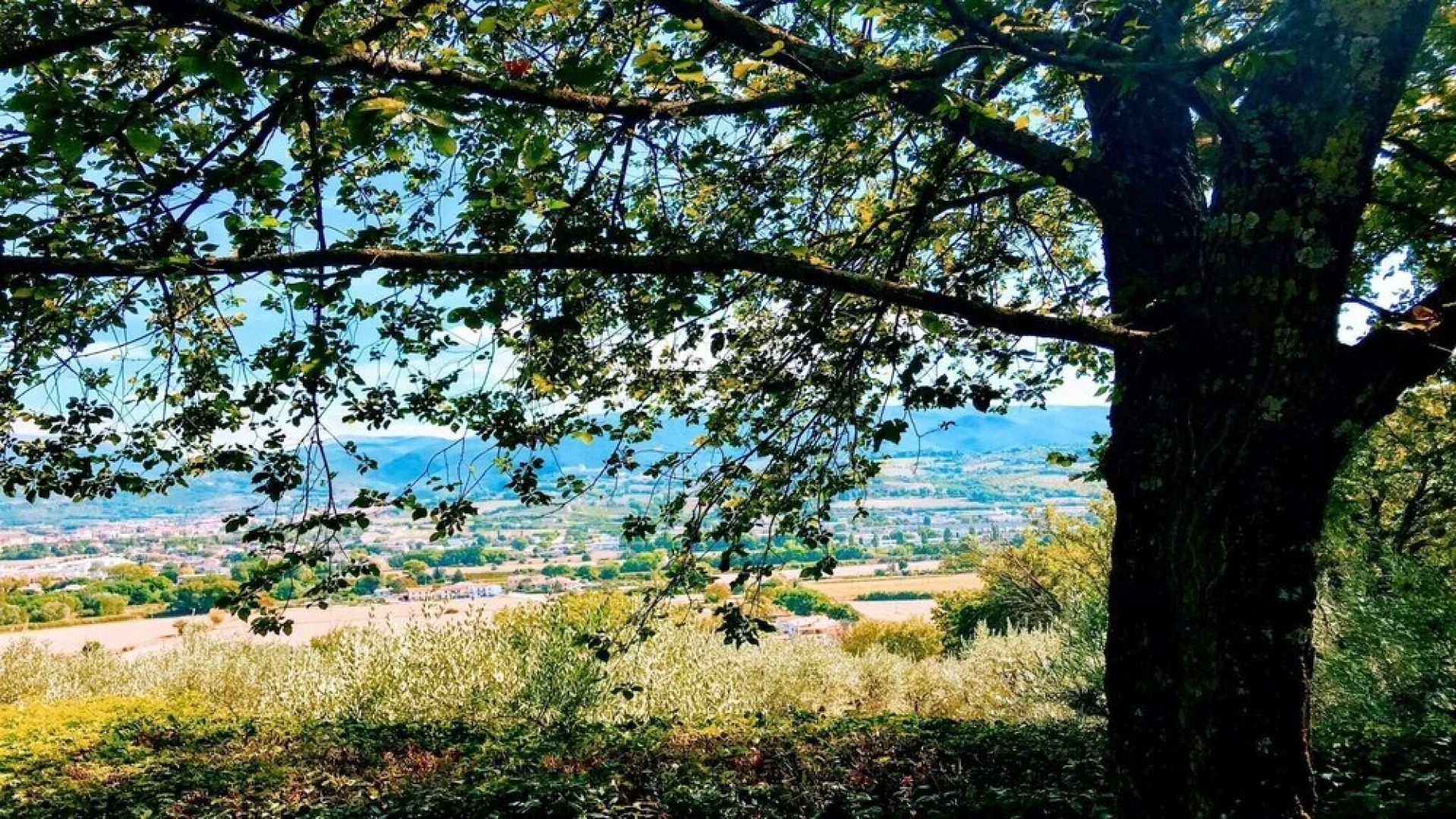 Pool Villa Spoleto Tranquilla - A Sanctuary of Dreams and Peace + Yoga Studio