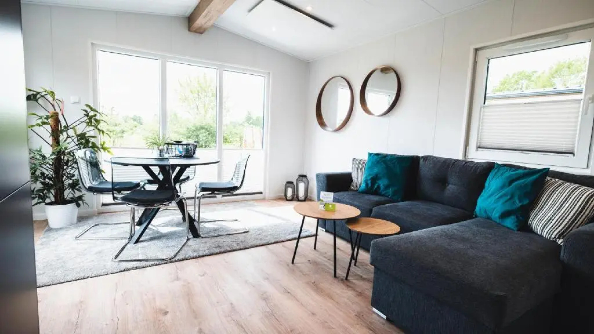 Auszeit am Alfsee, im Lichterwald