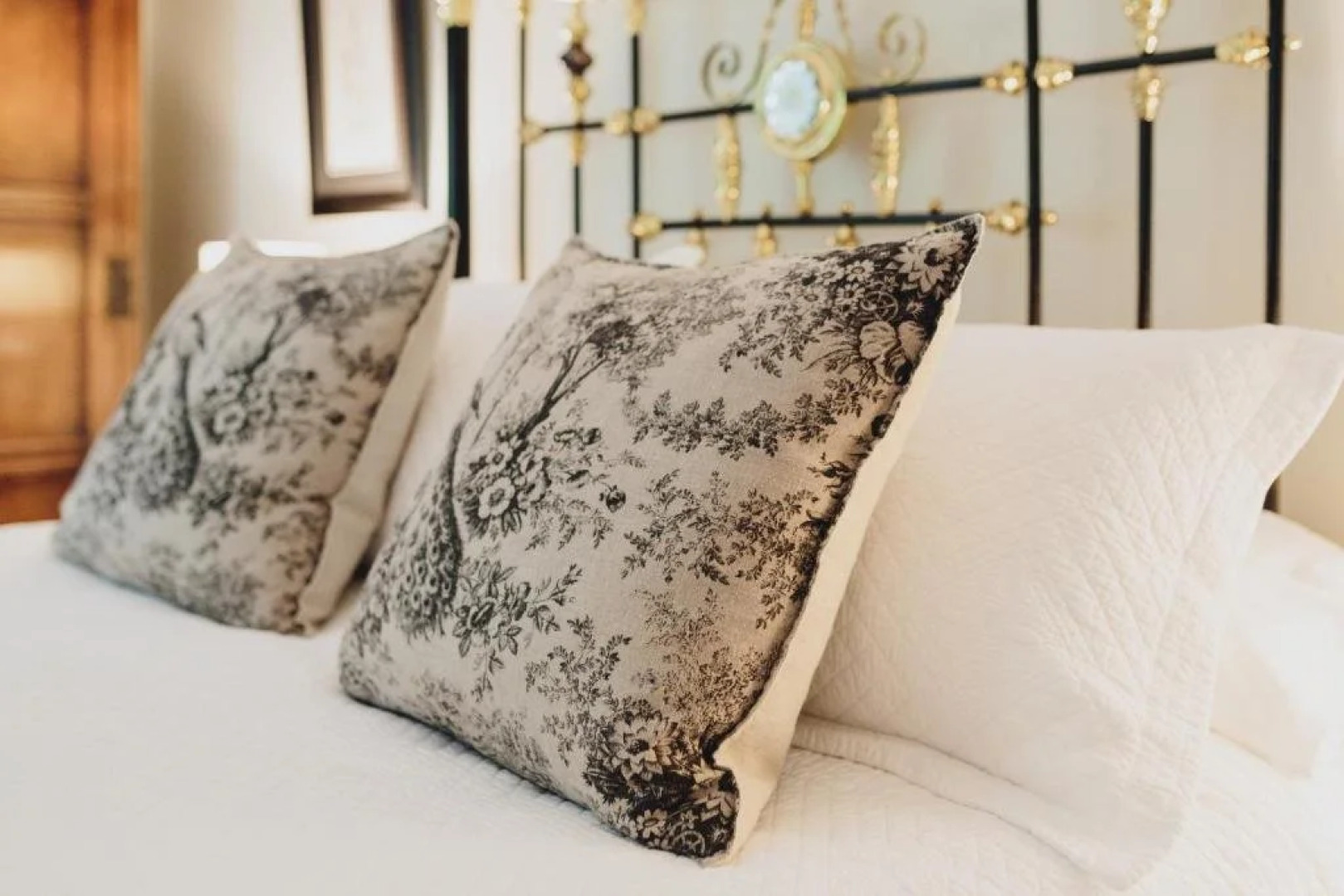 Dingleigh of Sassafras (Adults Only)