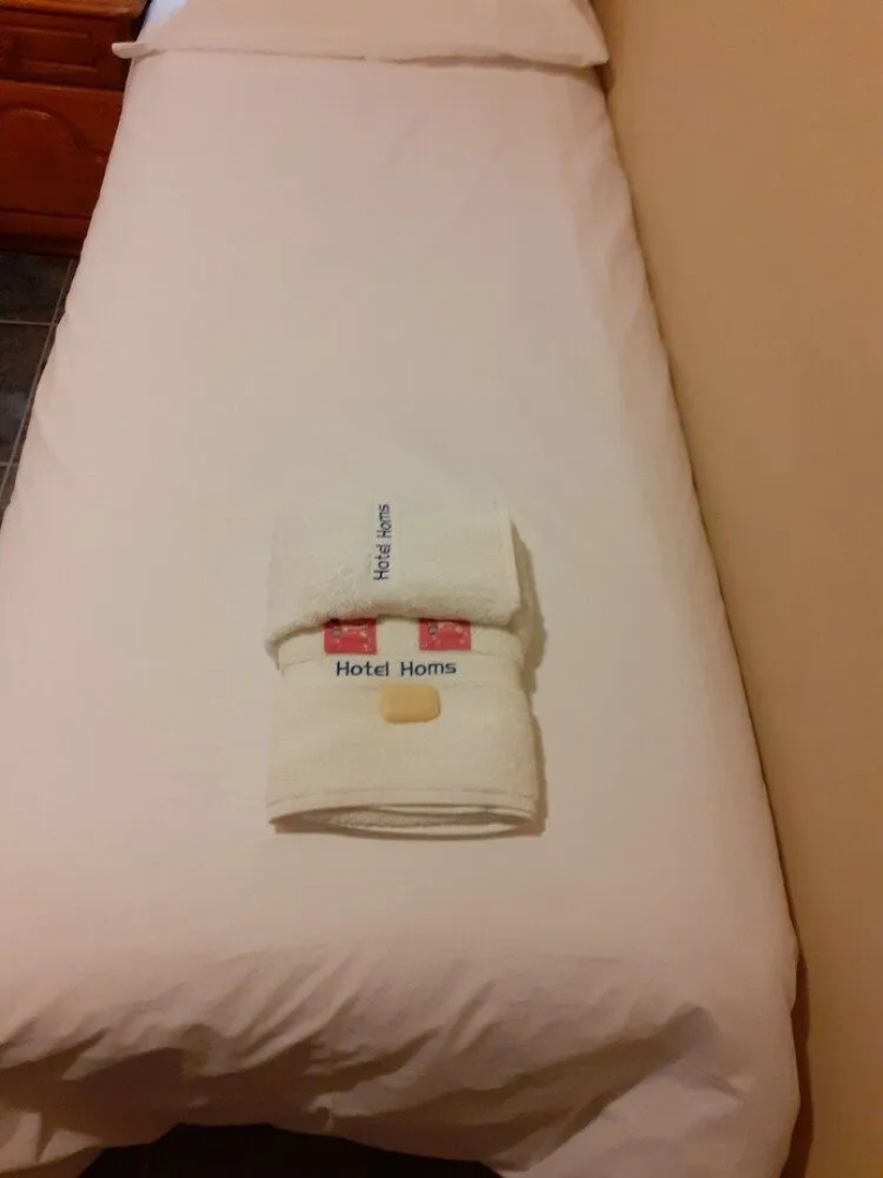 hotel homs los dos hermanos
