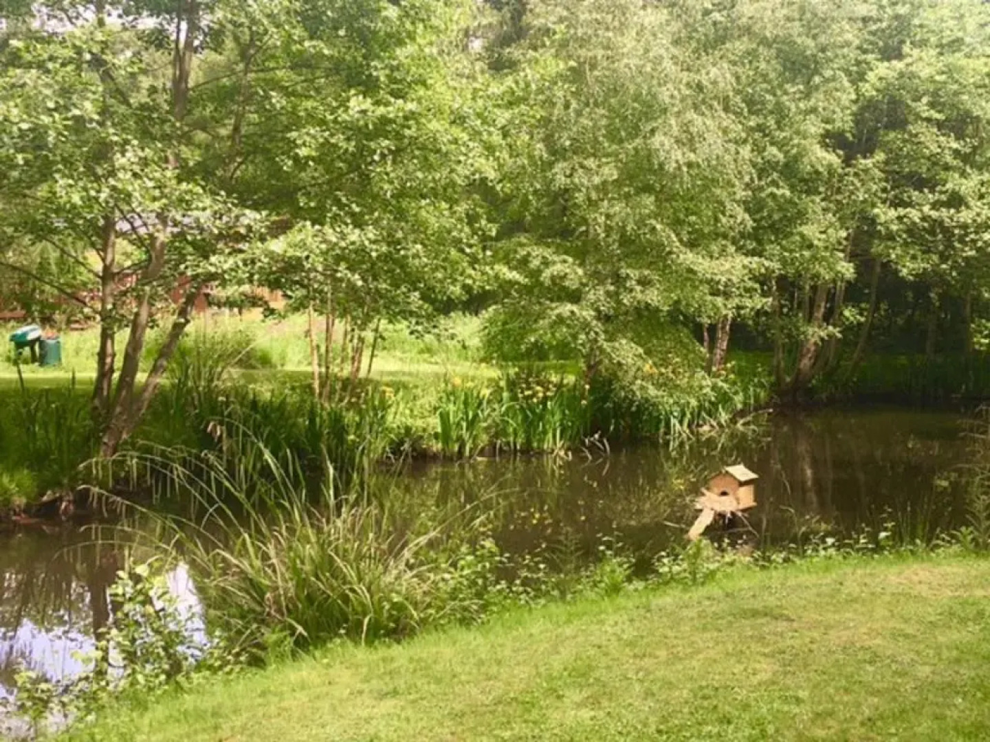 Hollicarrs - Lilypad Lodge