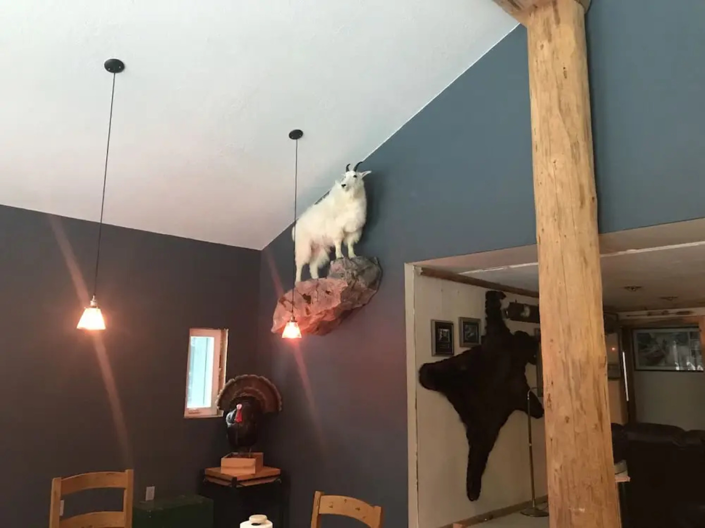 The Last Resort Lodge