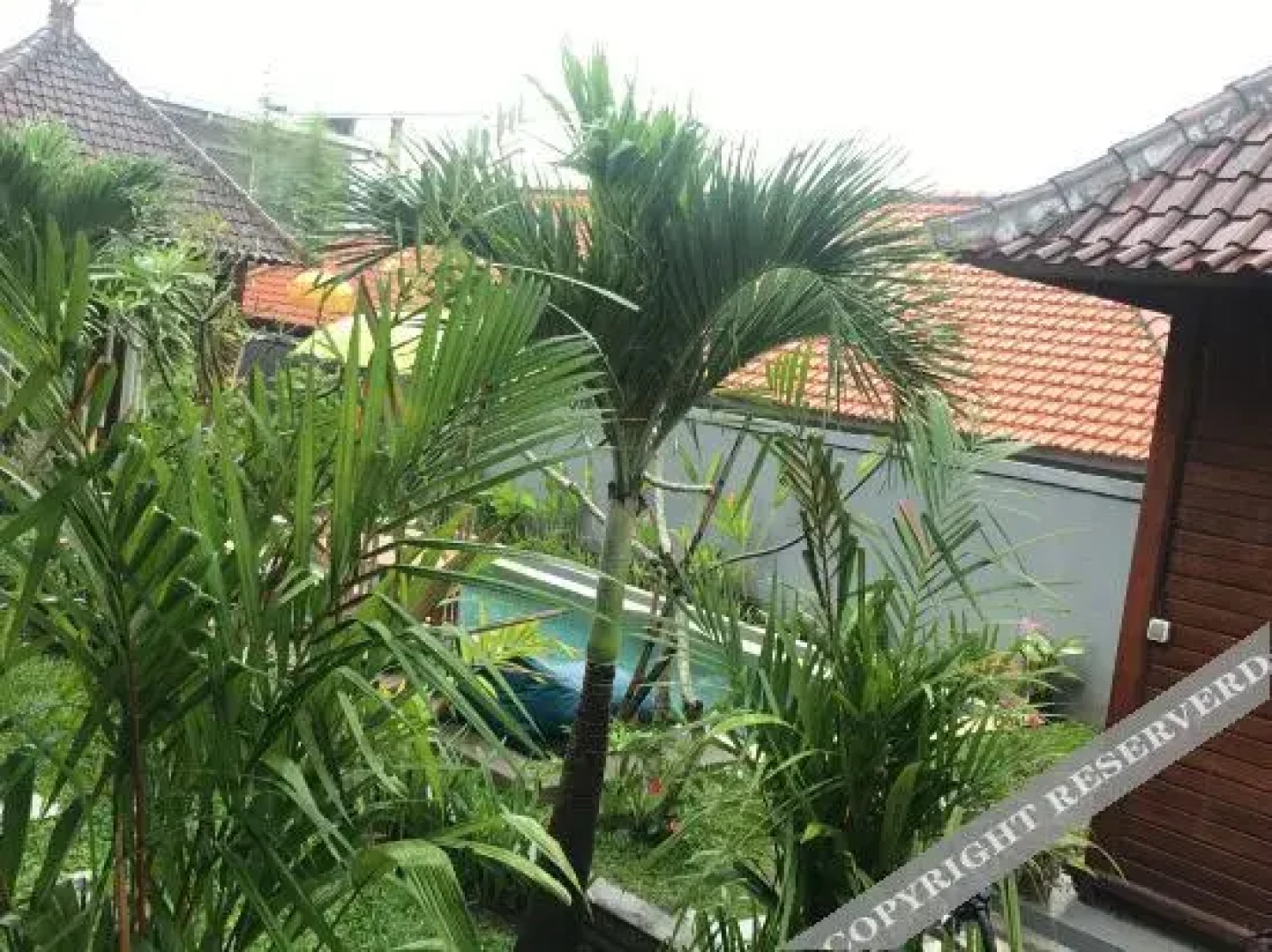 Sleepy Gecko Guesthouse