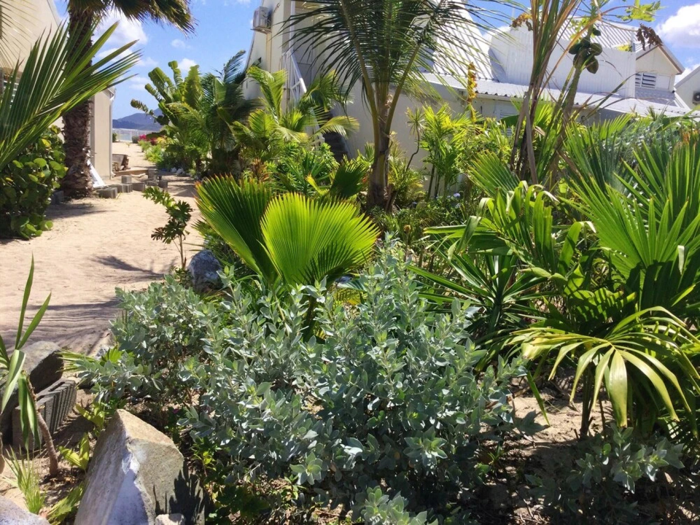 Studio in Sandy-Ground, with Wonderful Sea View, Pool Access, Furnished Balcony