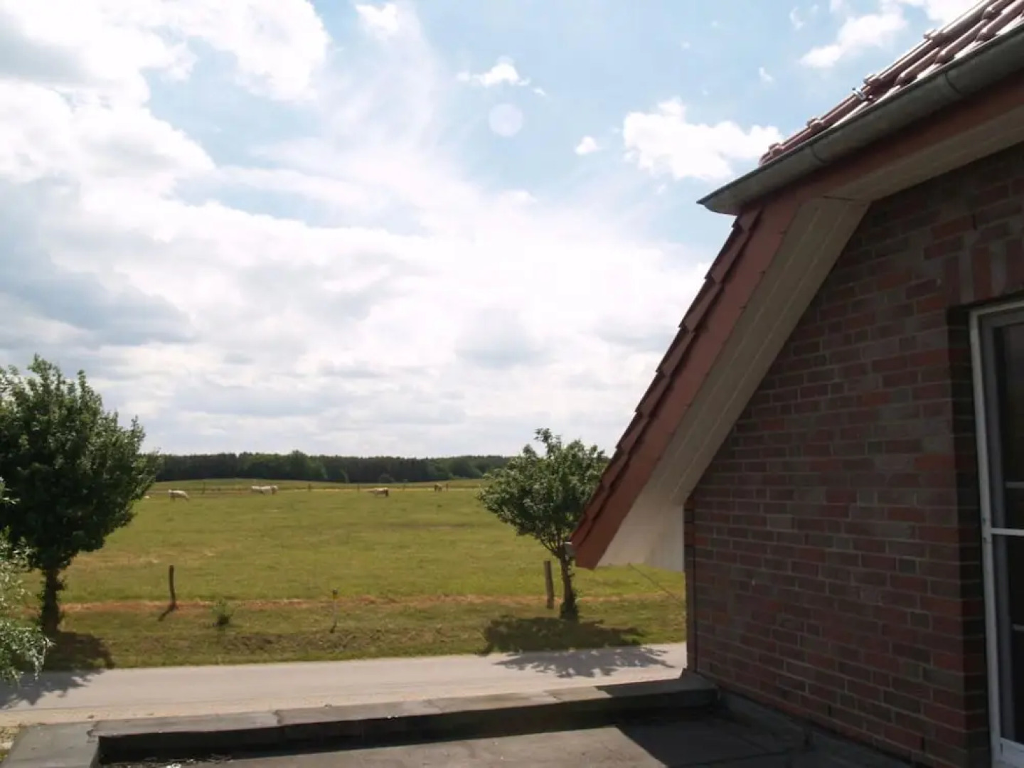 Holiday Home Frog Prince