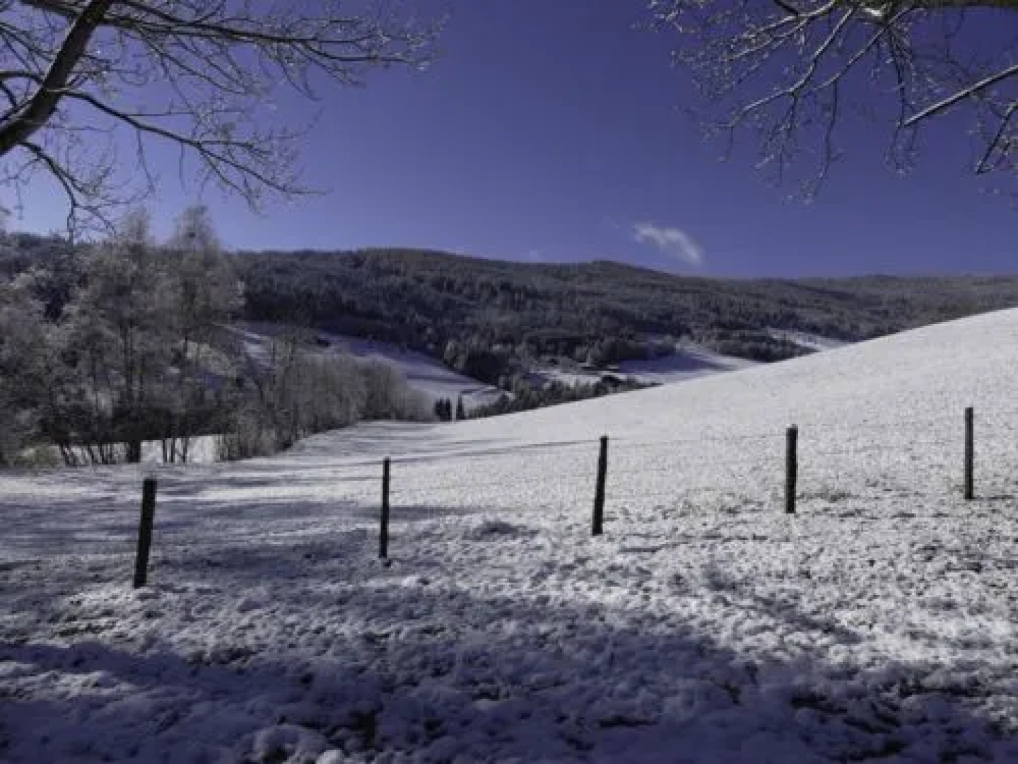 House Reich Hirschegg - Pack