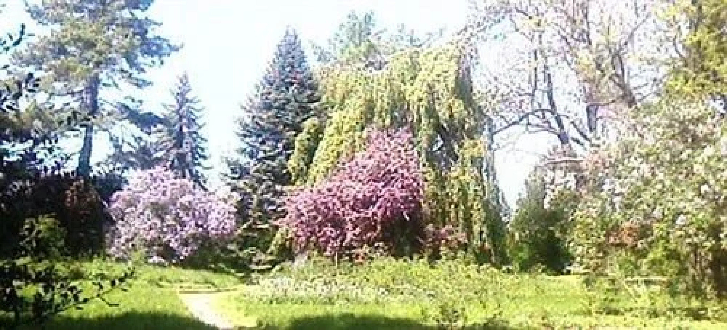 Leinegarten